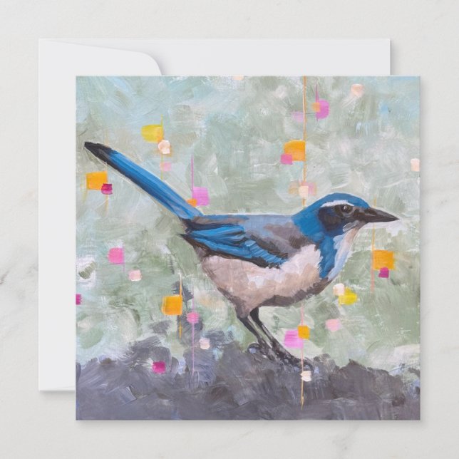 Scrub Jay (Front)