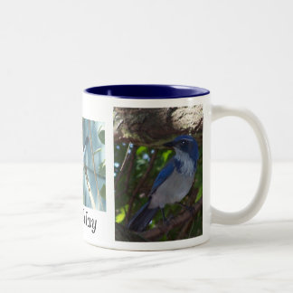 Scrub Jay Mug