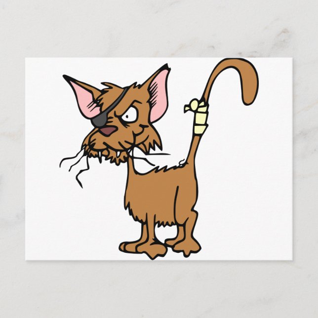 Scruffy Cat Postcard (Front)