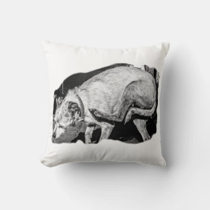 Scruffy Comfort Scratch Cushion
