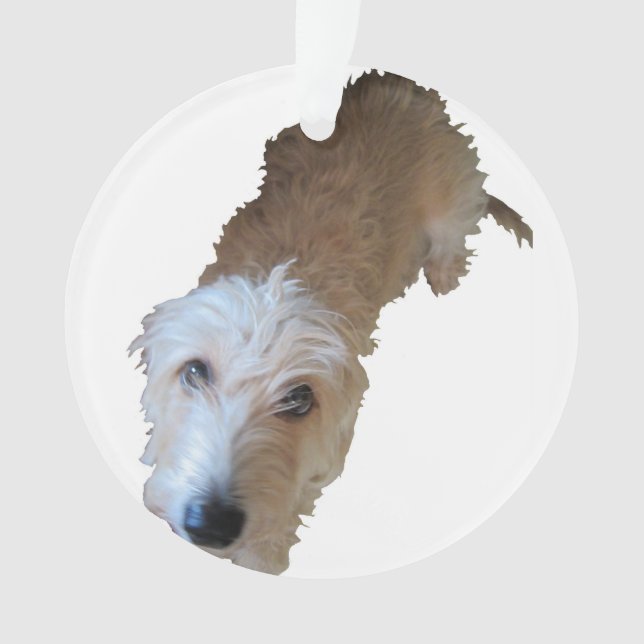 Scruffy Dog Ornament (Front)