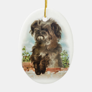 Scruffy dog ornament