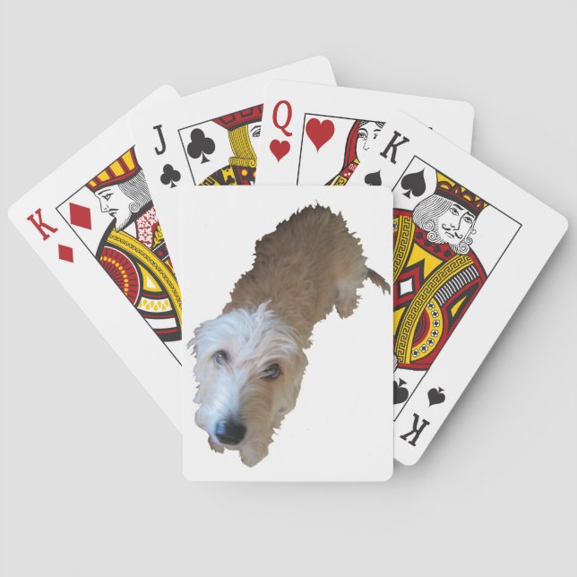 Scruffy Dog Playing Cards (Back)