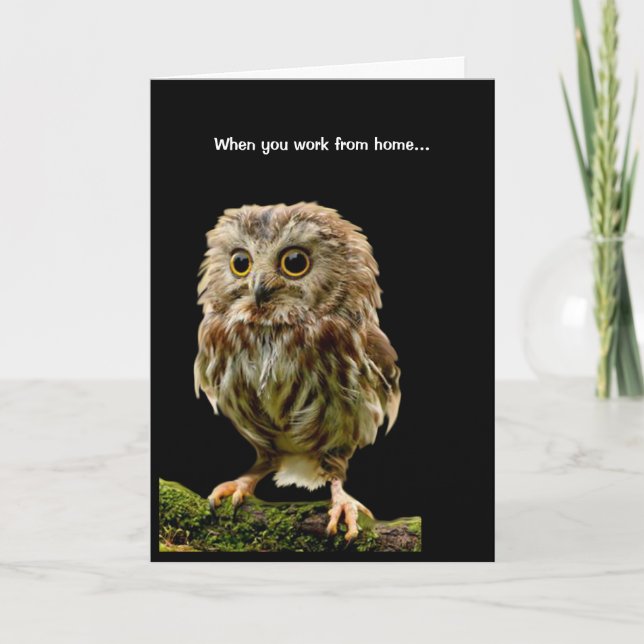 Scruffy Owl Working from Home Card (Front)