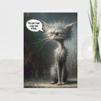 Scruffy Street Cat for Birthday Humour