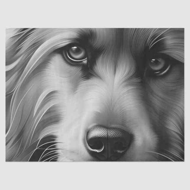 SCRUFFY TERRIER DOG BLACK AND WHITE TISSUE PAPER (Front)