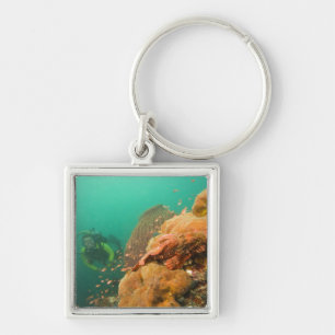 scuba diver & Scorpionfish Scorpanopsis Key Ring