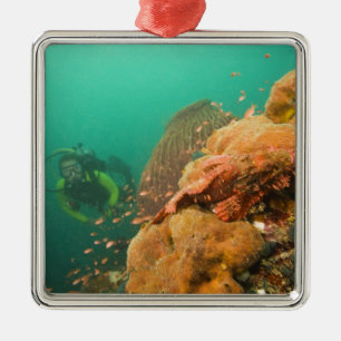 scuba diver & Scorpionfish Scorpanopsis Metal Tree Decoration