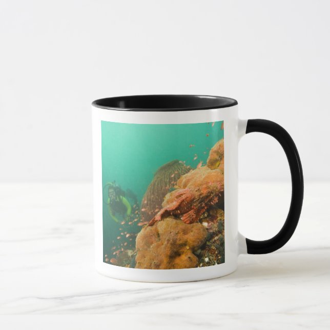scuba diver & Scorpionfish Scorpanopsis Mug (Right)