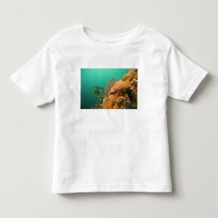 scuba diver & Scorpionfish Scorpanopsis Toddler T-Shirt