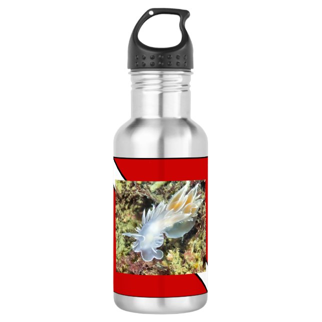 Scuba Diver Water Bottle (Front)