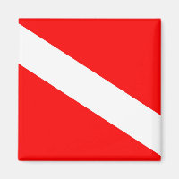 scuba divers flag diagonal network dive symbol