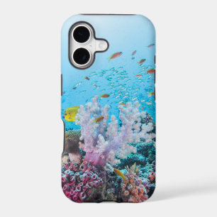Scuba Diving With Colourful Reef And Coral