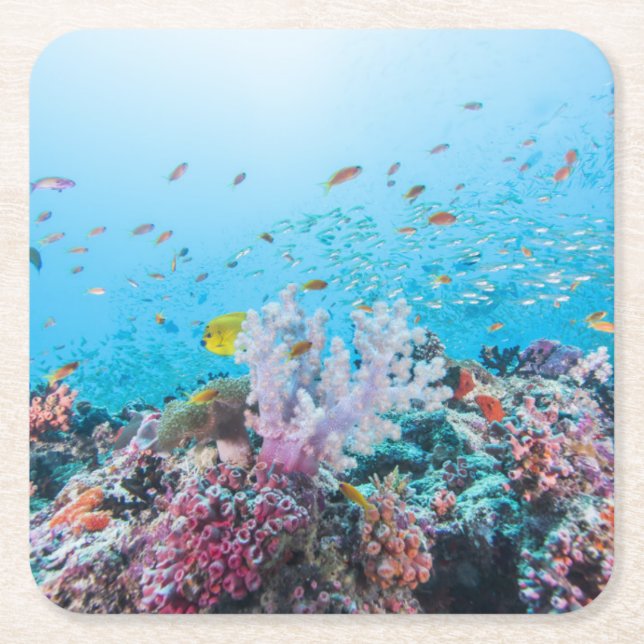 Scuba Diving With Colourful Reef And Coral Square Paper Coaster (Front)