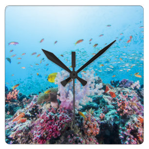 Scuba Diving With Colourful Reef And Coral Square Wall Clock