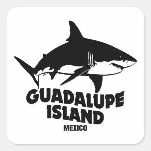 Scuba Diving With Sharks Guadalupe Island Square Sticker
