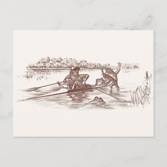 Sculling Frogs Postcard (Front)