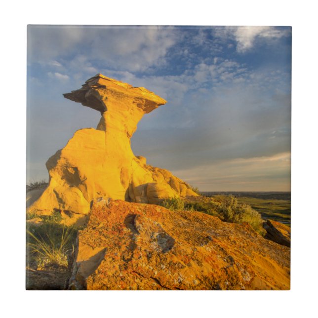 Sculpted Badlands Formation In Short Grass Ceramic Tile (Front)