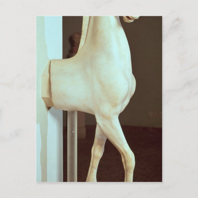 Sculpture of a horse, c.500 BC Postcard (Front)