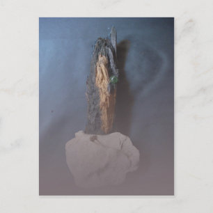 Sculpture Play Postcard