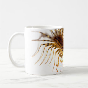 Scutigera coleoptrata coffee mug