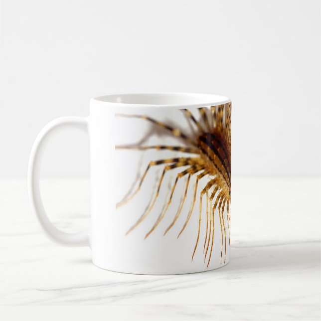 Scutigera coleoptrata coffee mug (Left)