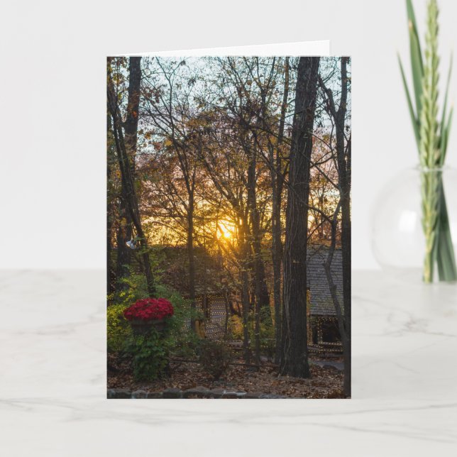 Sdc Woods Sunset Card (Front)