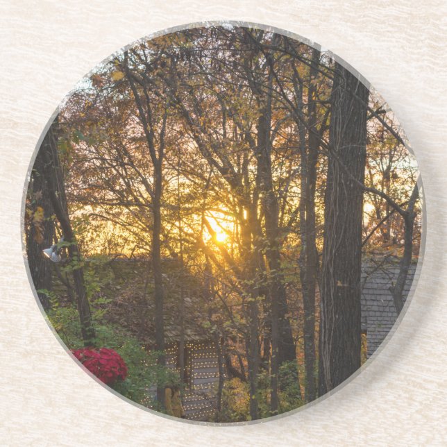 Sdc Woods Sunset Coaster (Front)