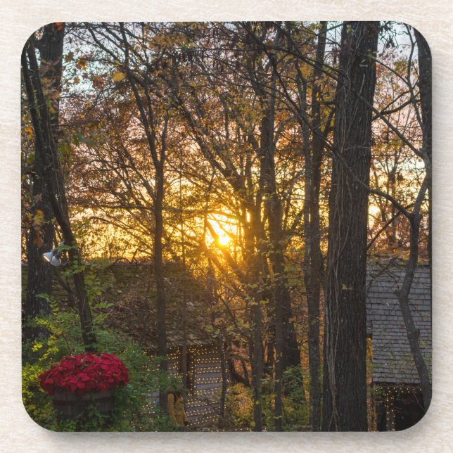 Sdc Woods Sunset Coaster (Front)