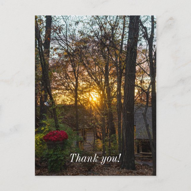 Sdc Woods Sunset Postcard (Front)