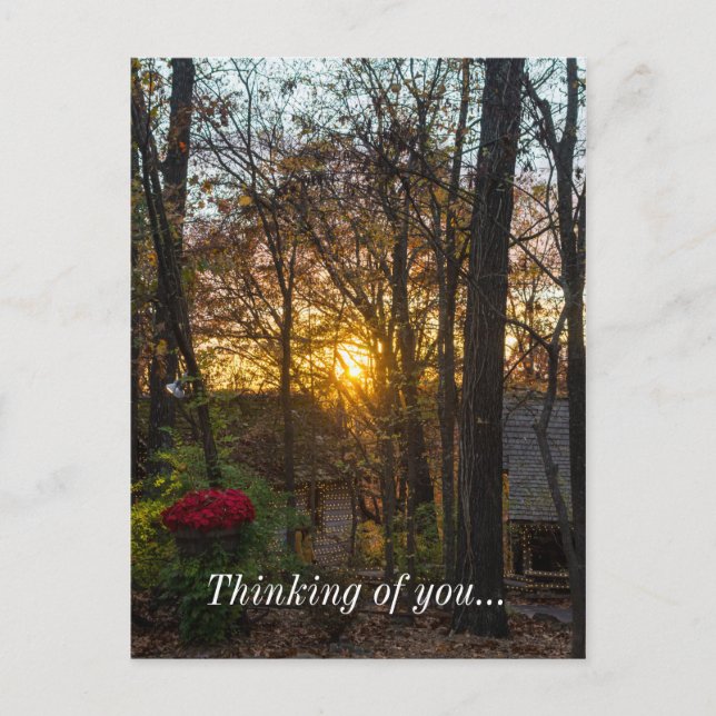 Sdc Woods Sunset Thinking Of You Postcard (Front)