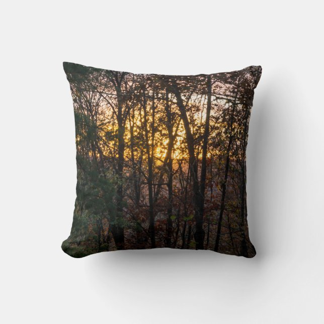SDC Woody Sunset Cushion (Front)