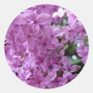 Sdlilac Classic Round Sticker