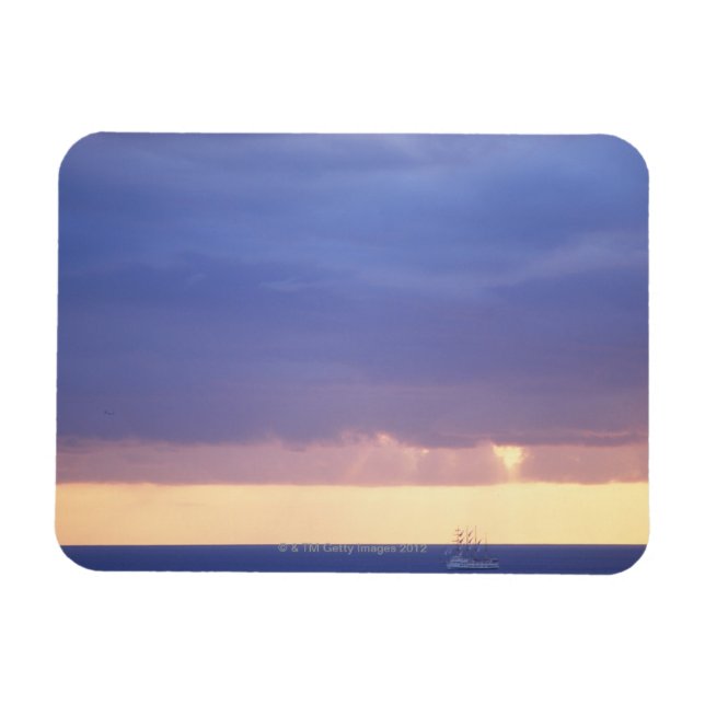 Sea 4 magnet (Horizontal)