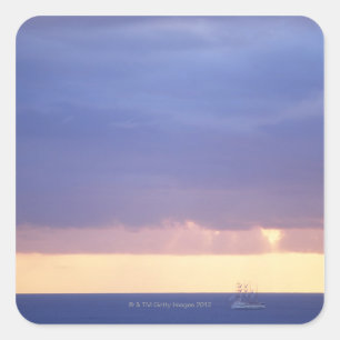 Sea 4 square sticker