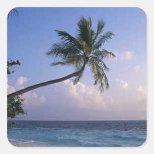 Sea and Palm Tree Square Sticker