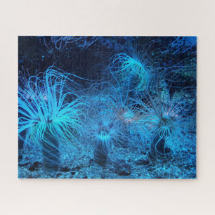 Sea Anemone and Coral Reef Jigsaw Puzzle