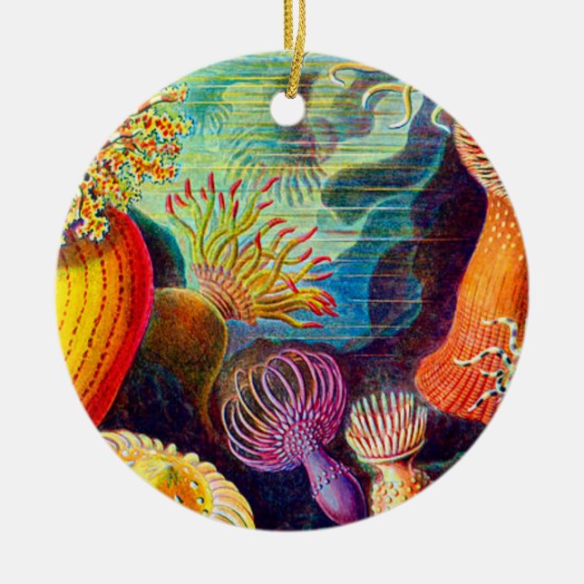 Sea Anemone - Ernst Haeckel Ceramic Ornament (Front)