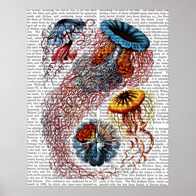 Sea Anemone Poster (Front)