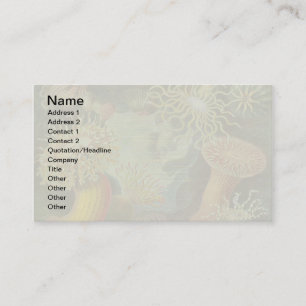 Sea Anemone Scientific Nature Ocean Business Card