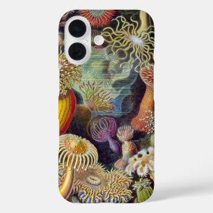 Sea Anemone Scientific Nature Ocean iPhone 16 Case