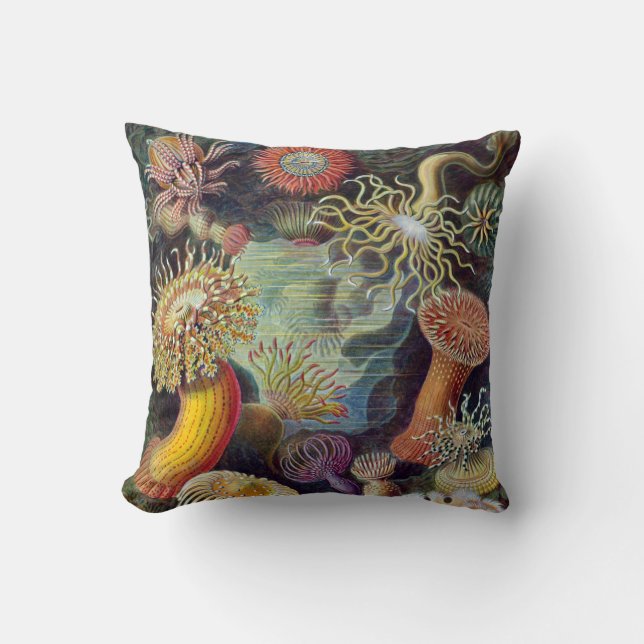 Sea Anemone Scientific Nature Ocean Cushion (Front)