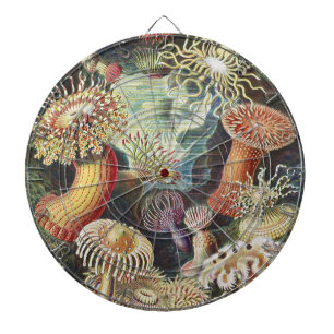Sea Anemone Scientific Nature Ocean Dartboard