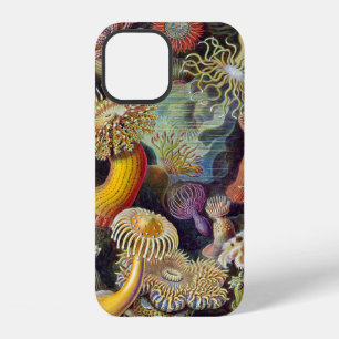 Sea Anemone Scientific Nature Ocean iPhone 12 Case