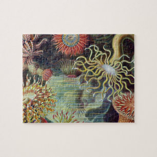 Sea Anemone Scientific Nature Ocean Jigsaw Puzzle