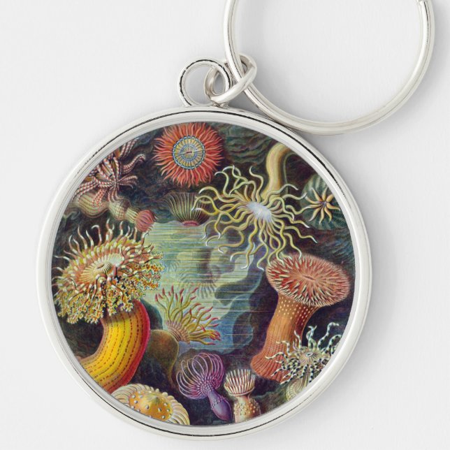 Sea Anemone Scientific Nature Ocean Key Ring (Front)