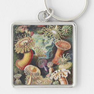 Sea Anemone Scientific Nature Ocean Key Ring