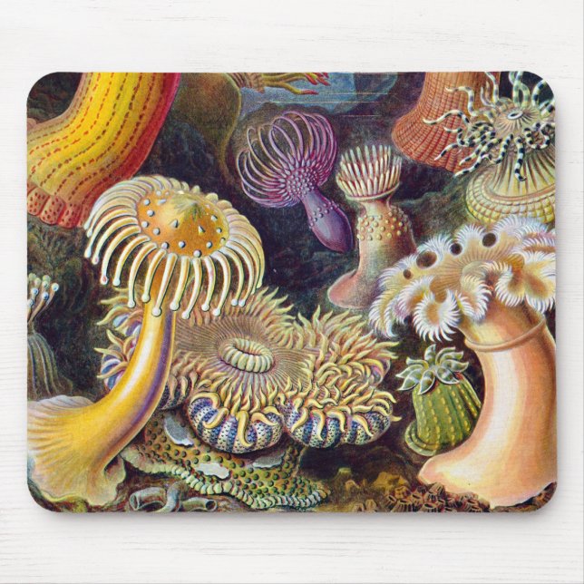 Sea Anemone Scientific Nature Ocean Mouse Pad (Front)