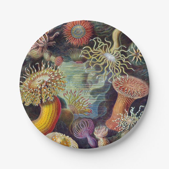 Sea Anemone Scientific Nature Ocean Paper Plate (Front)