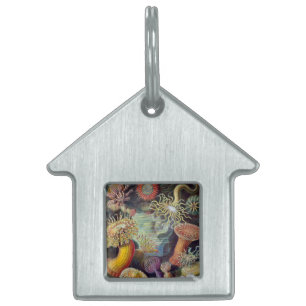 Sea Anemone Scientific Nature Ocean Pet ID Tag
